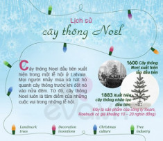 Infographic: Lịch sử 400 năm của cây thông Noel