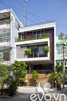 Khoe nhà: Nhà phố Sài Gòn, kiêu sa đón nắng