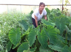 Người Việt cần cù bám trụ làm nông ở điểm nóng Ukraine