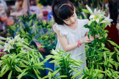 Bé gái Hà Thành dịu dàng tựa thiếu nữ trong mùa hoa loa kèn