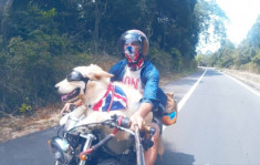 Chàng điển trai Sài Gòn: Người yêu không có nhưng chó có một con