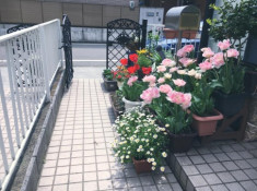Đường vào nhà ngập sắc hoa của nàng dâu Việt trên đất Nhật