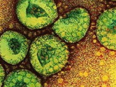  Virus mới ‘giống SARS’ xuất hiện người lành mang trùng 