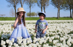 Hai thiên thần lai gốc Việt bên cánh đồng hoa Tulip đẹp như tranh
