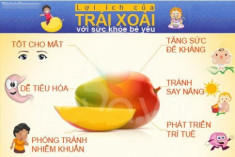 Mùa xoài chín, tự làm kem ở nhà cho bé như mẹ Tombinbon