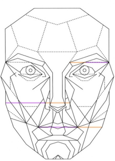 Như thế nào là gương mặt đạt tỉ lệ vàng?