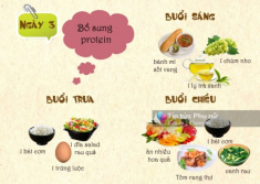 Thực đơn giảm cân trong 1 tuần: Ngày 3 - Bổ sung protein