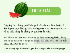 Tổng hợp các cách chọn rau củ quả tươi ngon không lo hóa chất