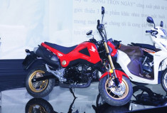  Xe côn tay Honda MSX125 giá 60 triệu tại Việt Nam 