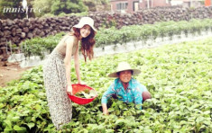  Điểm nhấn của innisfree Festa Việt Nam với sự góp mặt của Yoona 