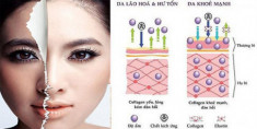 Chăm sóc da chuyên sâu với Collagen tinh khiết chiết xuất từ cá