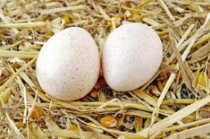 Lấy 1 quả trứng 1 quả chanh chưa đến 5 ngàn đồng mà dưỡng da căng mướt như em bé
