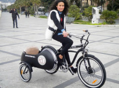  Xe đạp sidecar chạy điện 