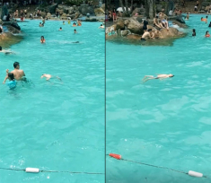Rùng mình cảnh những đứa trẻ cận kề thần chết dưới bể bơi nhưng đám đông không nhận ra