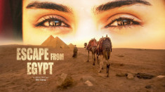 21 ngày du lịch Ai Cập, cưỡi lạc đà, khám phá sa mạc Sahara