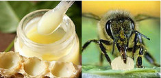 Spa cho da mặt A - Z cực đơn giản tại nhà với 4 công thức từ sữa ong chúa