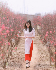 9X Nam Định khoe sắc đẹp “trong veo” giữa vườn đào Nhật Tân