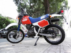  Honda XLR80R - hàng hiếm ở Việt Nam 