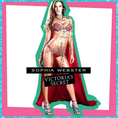 Những đôi giầy tuyệt mỹ của Victoria‘s Secret Show 2014