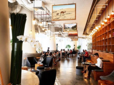 9 quán cà phê thích hợp để đi 1 mình tại Sài Gòn