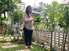 Ngắm vườn rau xanh mướt ai nhìn cũng mê của vợ chồng nghệ sĩ Hồng Vân - Lê Tuấn Anh