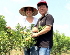 Vườn cây trái bạt ngàn cho hàng tạ quả mỗi vụ của NSƯT Chiều Xuân