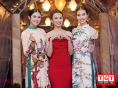 Hoa hậu Ngọc Hân mang tà áo dài tới tiệc chào mừng APEC