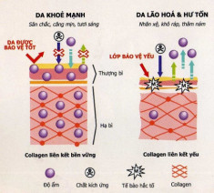 Bổ sung collagen không đúng cách: Lợi bất cập hại