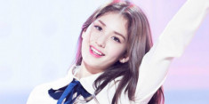 Netizen Hàn ngỡ ngàng khi “bông hồng lai” Somi bất ngờ chấm dứt hợp đồng với JYP
