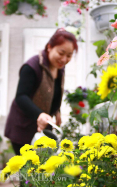 Ban công ngập sắc hoa xuân khiến ai cũng phải lòng của mẹ Hà thành