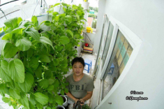Ban công rau sạch chỉ 3.6m² đầy ắp kỷ niệm trồng rau dở khóc, dở cười của ông bố 9x