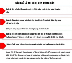 Chi tiết cách sơ cứu trẻ bị bỏng, côn trùng cắn chuẩn xác nhất