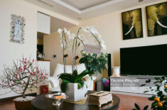 Chung cư tiền tỷ ngập sắc hoa xuân của Á hậu Huyền My ngày Tết