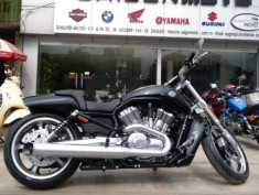  Harley Davidson V-rod Muscle 2011 đến Việt Nam 