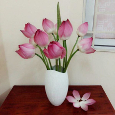 5 loại hoa nhất định phải bày phòng khách, cuối năm phất mạnh, lên như diều gặp gió