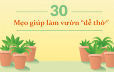 30 mẹo vặt giúp bạn làm vườn “dễ thở” hơn (phần 1)