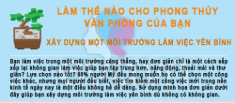 Các bước phong thủy văn phòng dễ thực hiện nhất