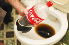 Hàng xóm đổ coca vào bồn cầu ai nhìn cũng mắng, khi thấy thành quả mọi người đều câm nín