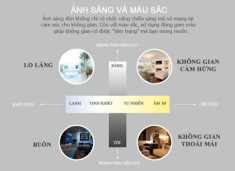 Infographic: Trang trí phòng cho tâm trạng vợ hưng phấn