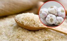 Lấy 3 tép tỏi vùi vào thùng gạo sau 1 đêm, vợ hốt hoảng gọi chồng ra xem sự lạ