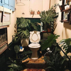 Nhà vệ sinh “cây nhà lá vườn” thơ mộng thách tiền không ai dám... cởi quần vì lý do này!
