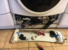 Vài ngày lại thấy mất quần áo, chủ nhà hoảng hốt phát hiện thủ phạm chính là… chiếc máy giặt