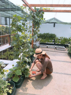 Vườn rau trái mướt mắt đủ loại ngon sạch trên sân thượng của Hoa hậu Quý bà Phương Lê