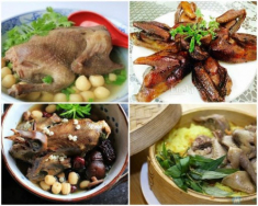 Cách nấu cháo chim bồ câu cực ngon và giàu dinh dưỡng