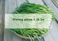 Cách trị ho cho trẻ sơ sinh không cần dùng thuốc