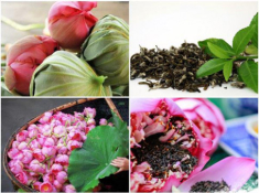 Cách ướp trà sen tươi truyền thống chuẩn vị thanh mát