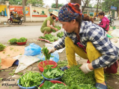 Cặp vợ chồng ngày ngày tước rau bí, tháng bỏ túi 60 triệu và câu chuyện bất ngờ phía sau