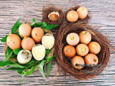 Chán luộc, đem trứng gà nướng lên thơm nức mũi, cả nhà ăn 1 lại muốn ăn 2