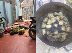 Con gái giữ trọn lời thề “trông bánh chưng”, sáng ra mẹ hết hồn khi thấy cảnh này