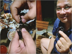 NSND Hồng Vân vào bếp, tuyên bố “cạnh tranh bà Tân Vlog” nhưng còn hé lộ em chồng siêu đảm